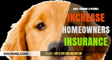 How Owning a Pitbull Affects Your Home Insurance