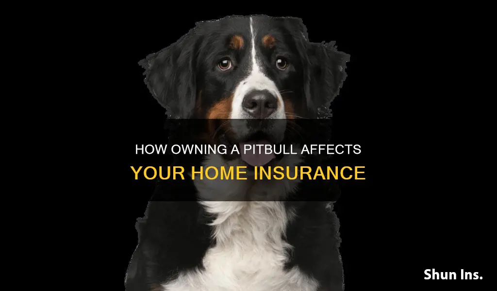 does owning a pitbull increase homeowners insurance