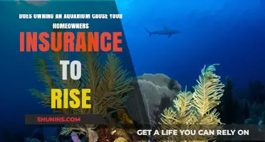 Aquarium Owners: Insurance Premiums and Your Fish Tank