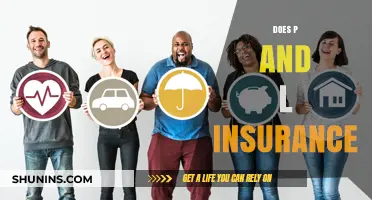 Understanding P&L Insurance: Coverage, Benefits, and Business Protection Explained