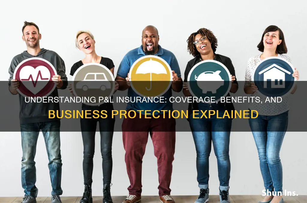 does p and l insurance