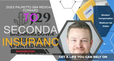 Palmetto GBA Medicare: Secondary Insurance Claims Explained