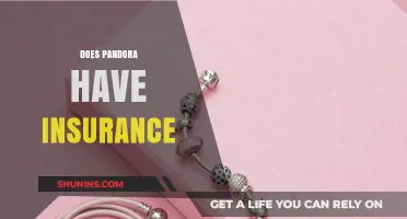 Does Pandora Offer Jewelry Insurance? Coverage and Protection Explained