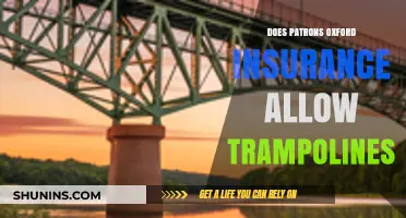 Does Patrons Oxford Insurance Cover Trampolines? A Policy Review