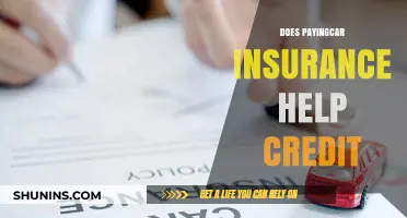 Can Paying Car Insurance Boost Your Credit Score? Here’s How