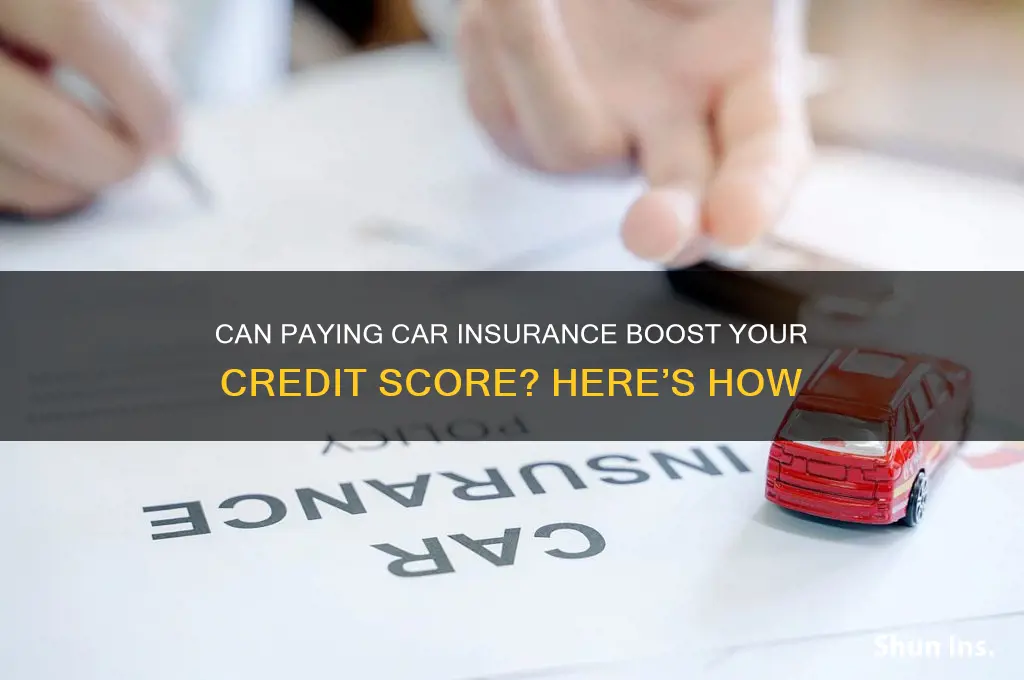does payingcar insurance help credit