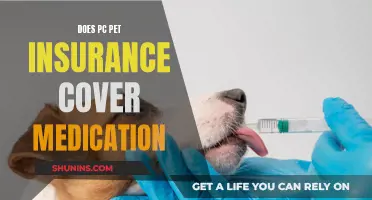 PC Pet Insurance: What Medication Does It Cover?