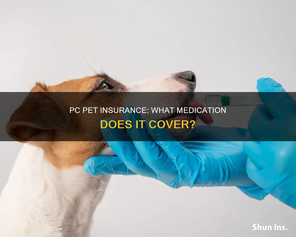 does pc pet insurance cover medication