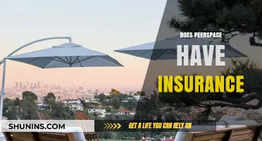 Does Peerspace Offer Insurance Coverage for Your Event or Space?