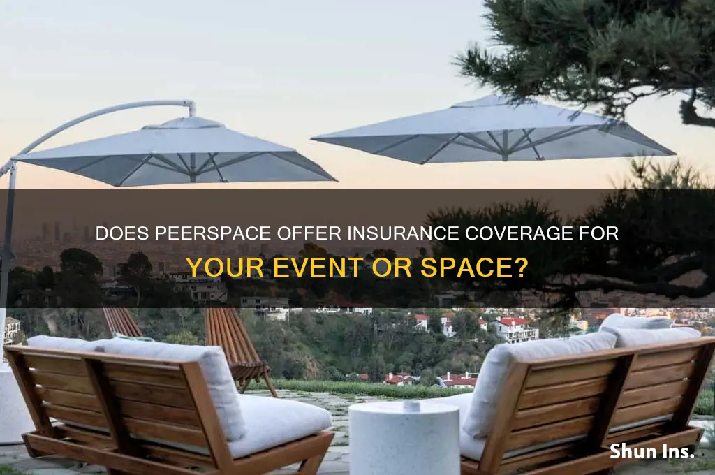 does peerspace have insurance
