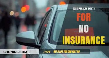 Driving Without Insurance: Understanding Penalties and Legal Consequences