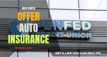 Penfed Auto Insurance: What You Need to Know