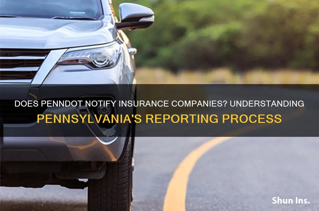 does penndot notify insurance