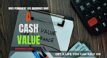 Permanent Life Insurance: Cash Value and Benefits Explained