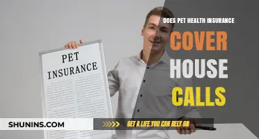 Does Pet Health Insurance Cover House Calls? What Owners Need to Know
