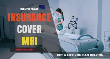 Does Pet Health Insurance Cover MRI Scans? What to Know
