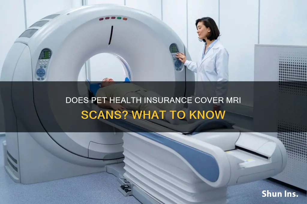 does pet health insurance cover mri
