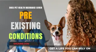 Does Pet Health Insurance Cover Pre-Existing Conditions? What to Know