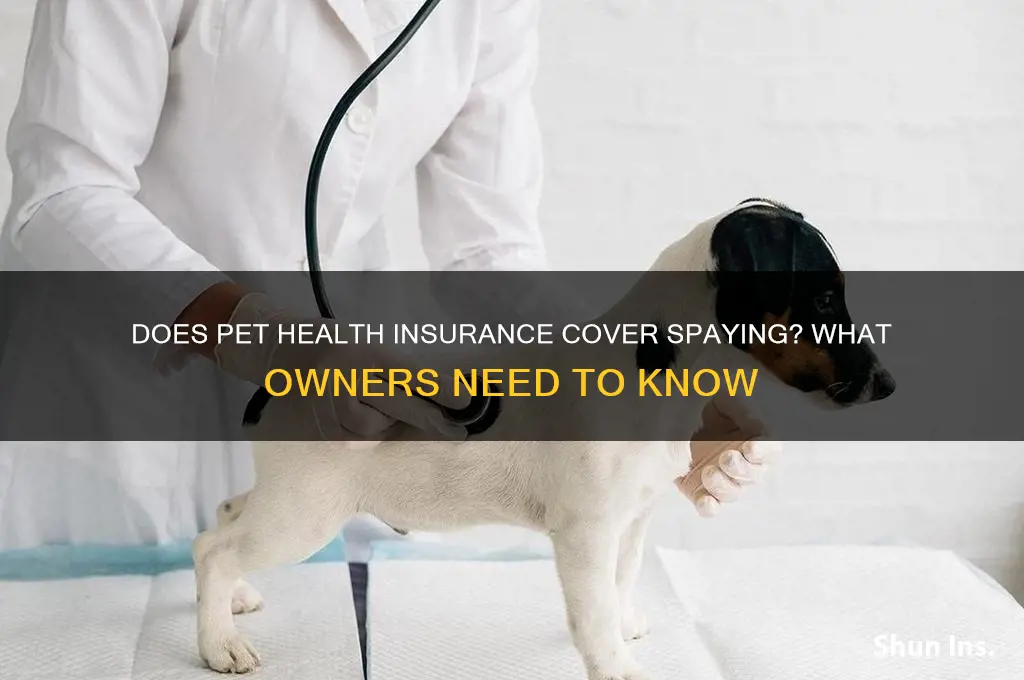 does pet health insurance cover spaying