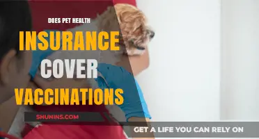 Does Pet Health Insurance Cover Vaccinations? What Owners Need to Know