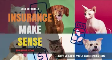 Is Pet Health Insurance Worth It? A Comprehensive Cost-Benefit Analysis