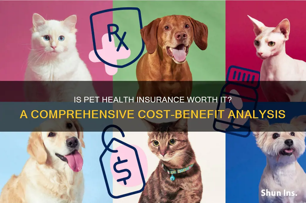 does pet health insurance make sense