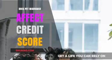 Pet Insurance and Credit Score: Any Connection?