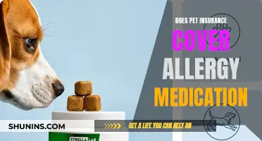 Pet Insurance and Allergies: Medication Coverage Explained