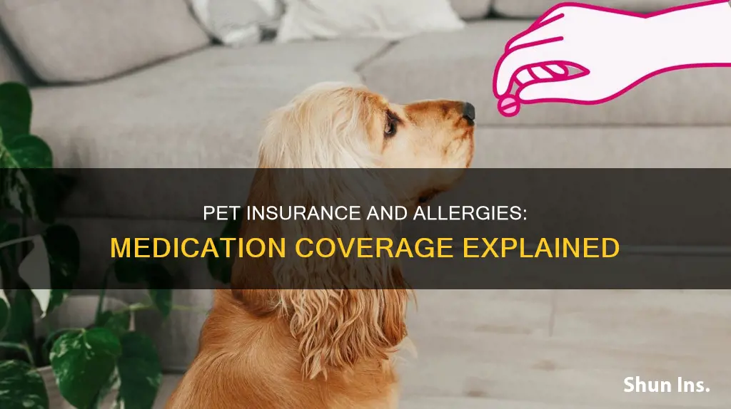 does pet insurance cover allergy medication