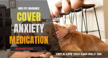 Pet Insurance: Anxiety Medication Coverage Explained