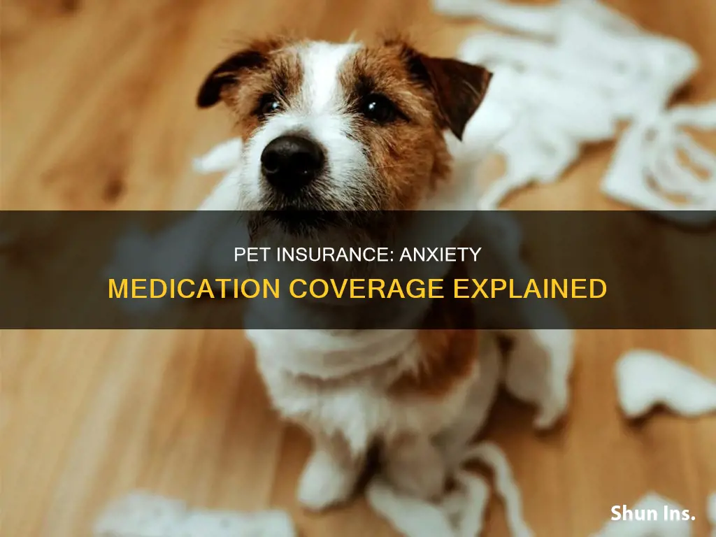 does pet insurance cover anxiety medication