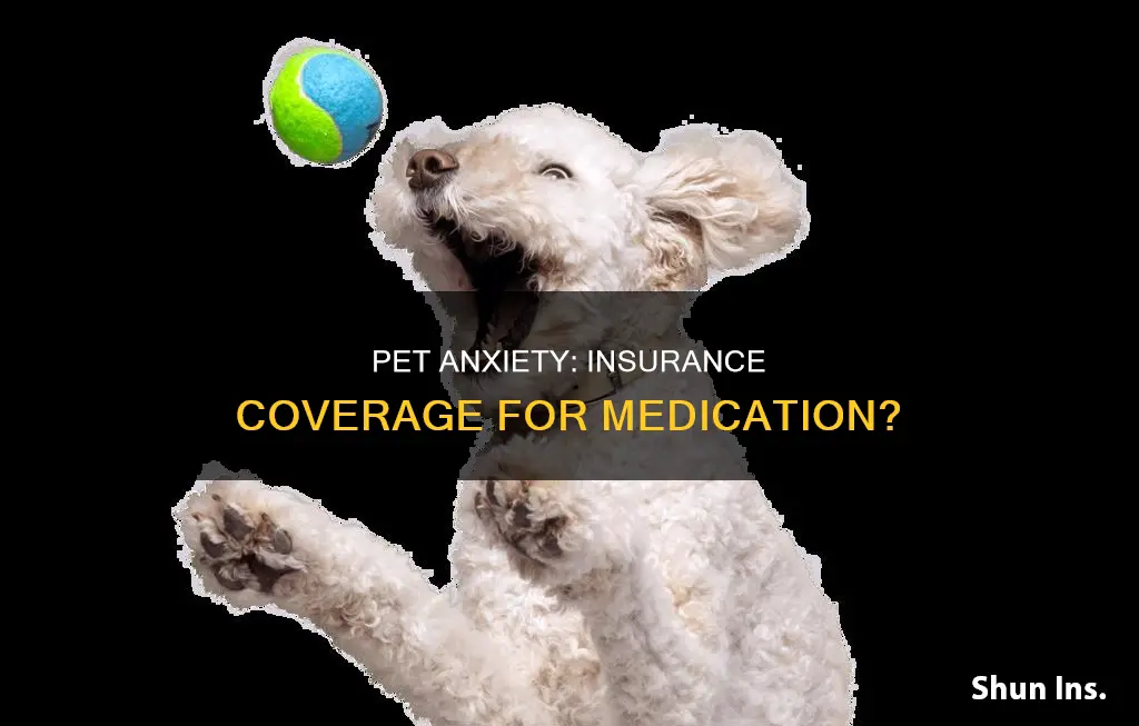 does pet insurance cover anxiety medication