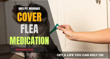 Pet Insurance: Unraveling Flea Medication Coverage