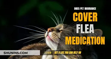 Pet Insurance and Flea Medication: What's Covered?