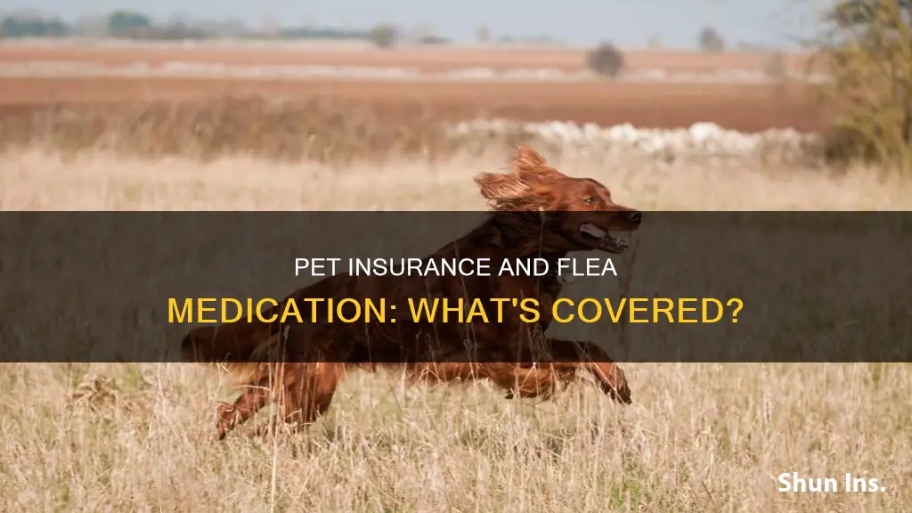 does pet insurance cover flea medication