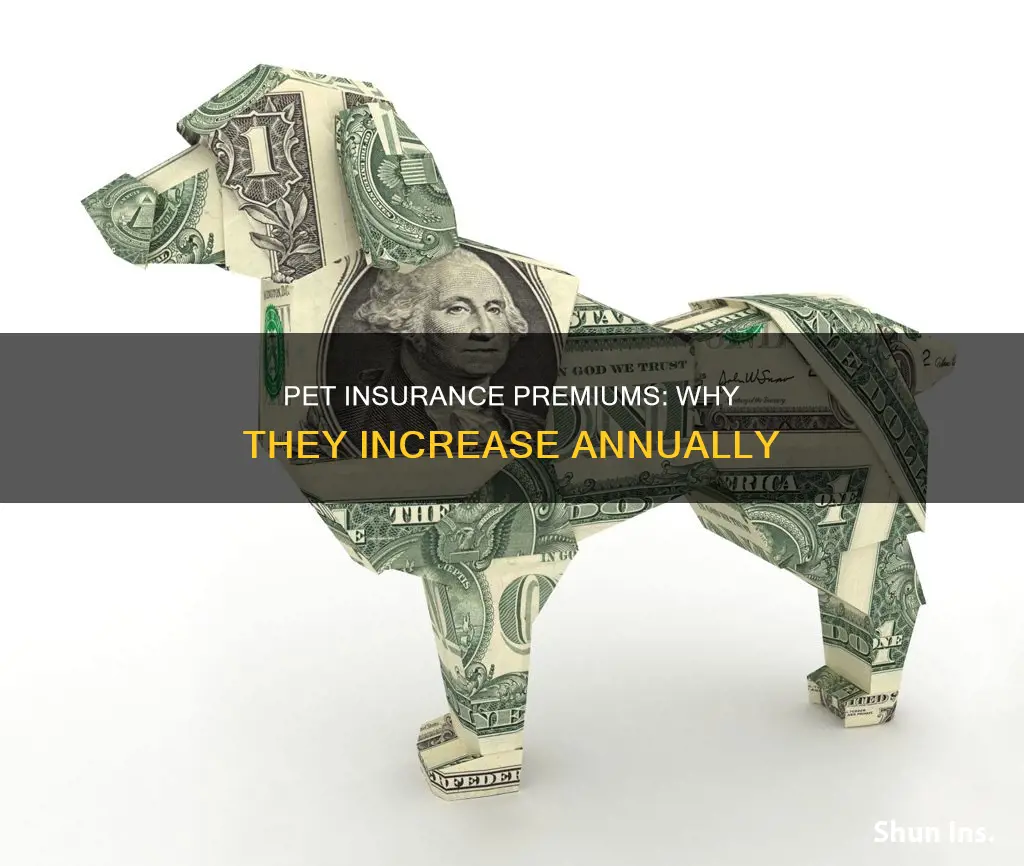does pet insurance go up every year