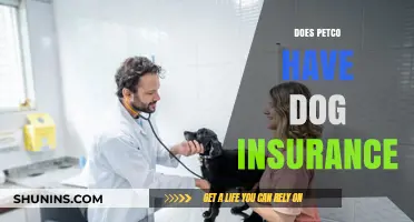Does Petco Offer Dog Insurance? Exploring Pet Coverage Options