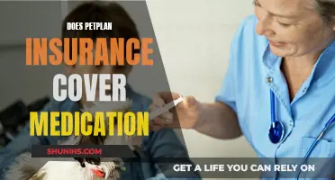 Petplan Insurance: Medication Coverage and Your Pet's Health
