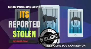 Phone Insurance Blacklist: What Happens When Stolen?