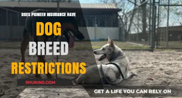 Pioneer Insurance Dog Breed Restrictions: What You Need to Know