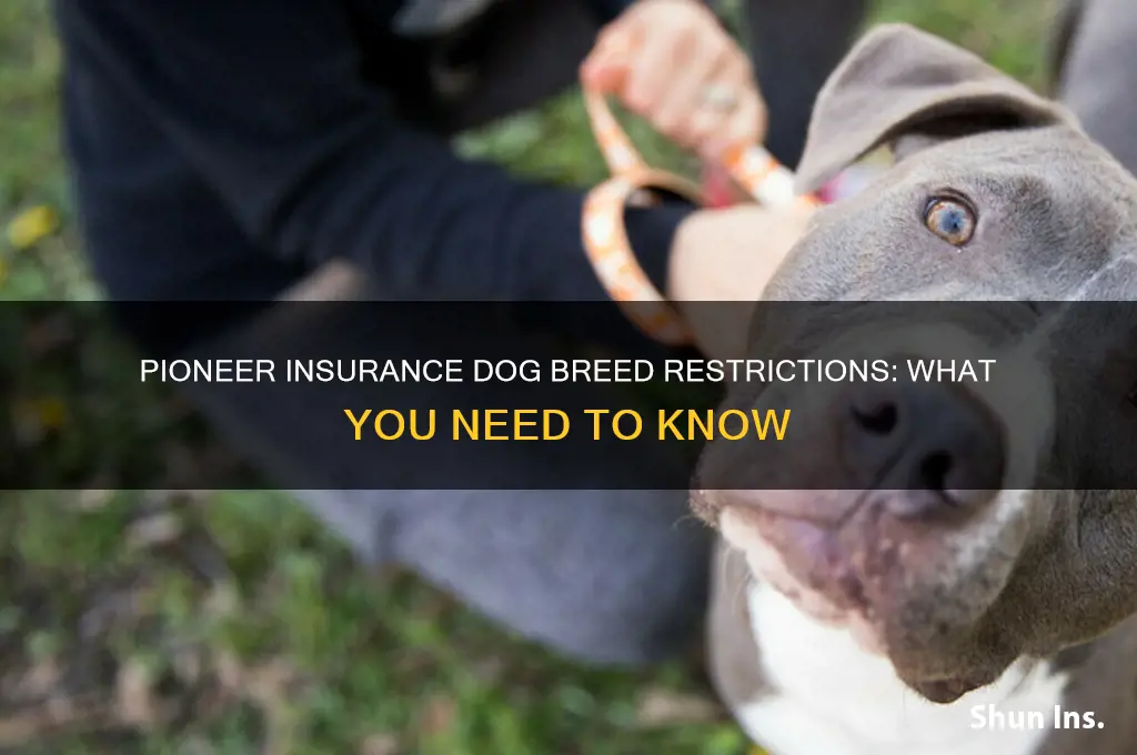 does pioneer insurance have dog breed restrictions