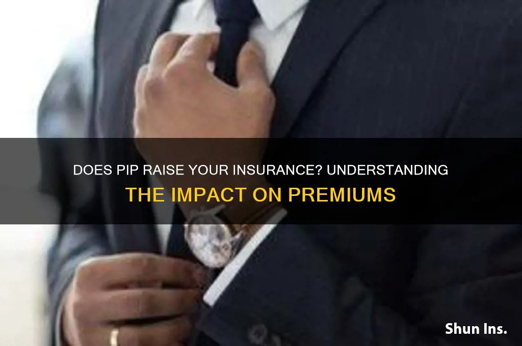 does pip raise your insurance