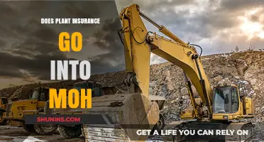 Plant Insurance and the MOH: What's Covered?