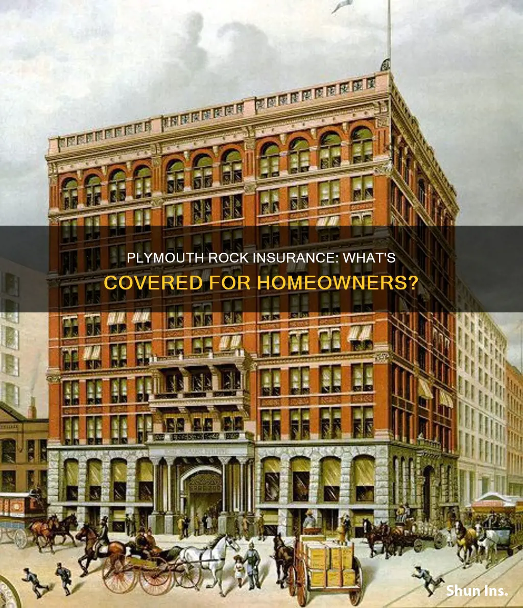 does plymouth rock insurance use for homeowners insurance