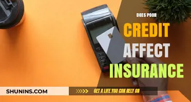 Credit Score Impact on Insurance: What You Need to Know