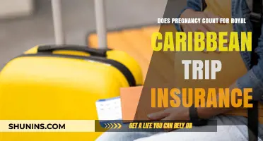 Pregnancy and Royal Caribbean Trip Insurance: What You Need to Know