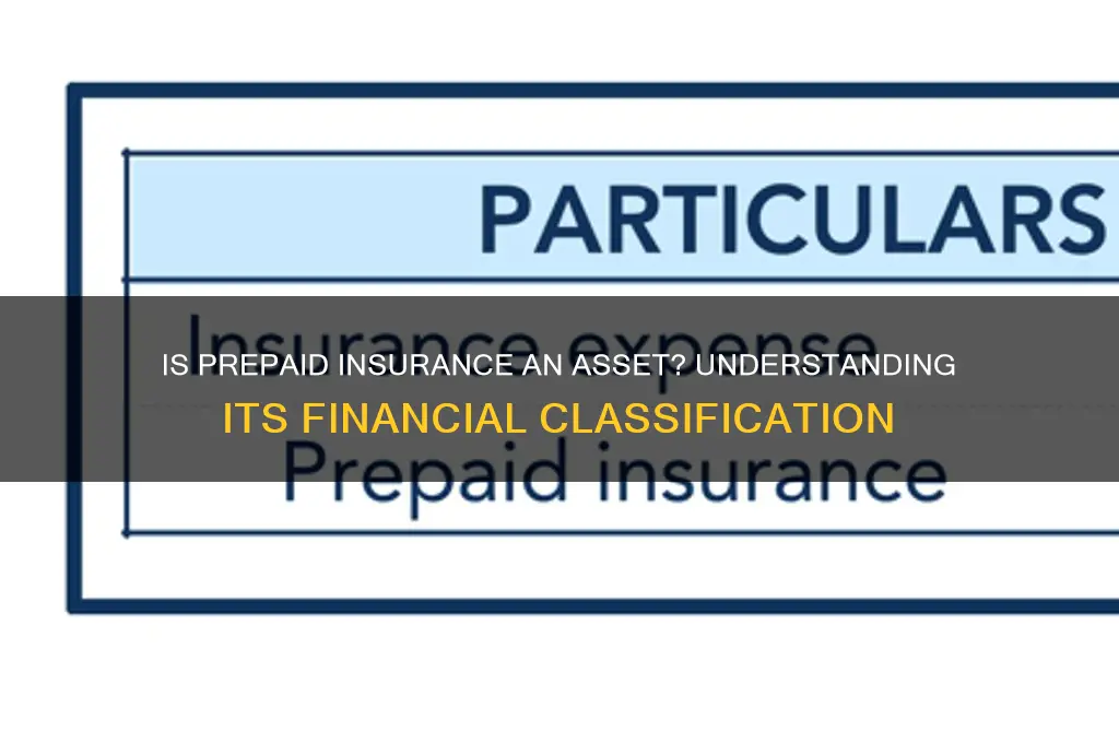 does prepaid insurance count as an asset