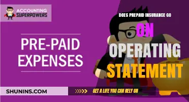 Prepaid Insurance: Operating Statement Impact