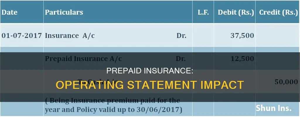 does prepaid insurance go on operating statement
