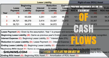 Prepaid Insurance: Statement of Cash Flows Impact